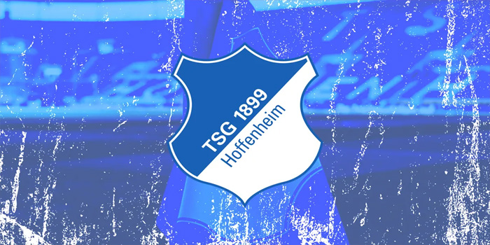 Hoffenheim vs Freiburg - Pekan ke-13 Bundesliga, 7 November 2024